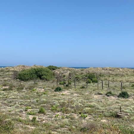 Mon Petit Paradis, Vue Sur Dunes Et Mer, Acces Direct Plage Robinson, Terrasse, Parking Prive, Tres Ressourcant, A Marseillan Plage Ngoại thất bức ảnh