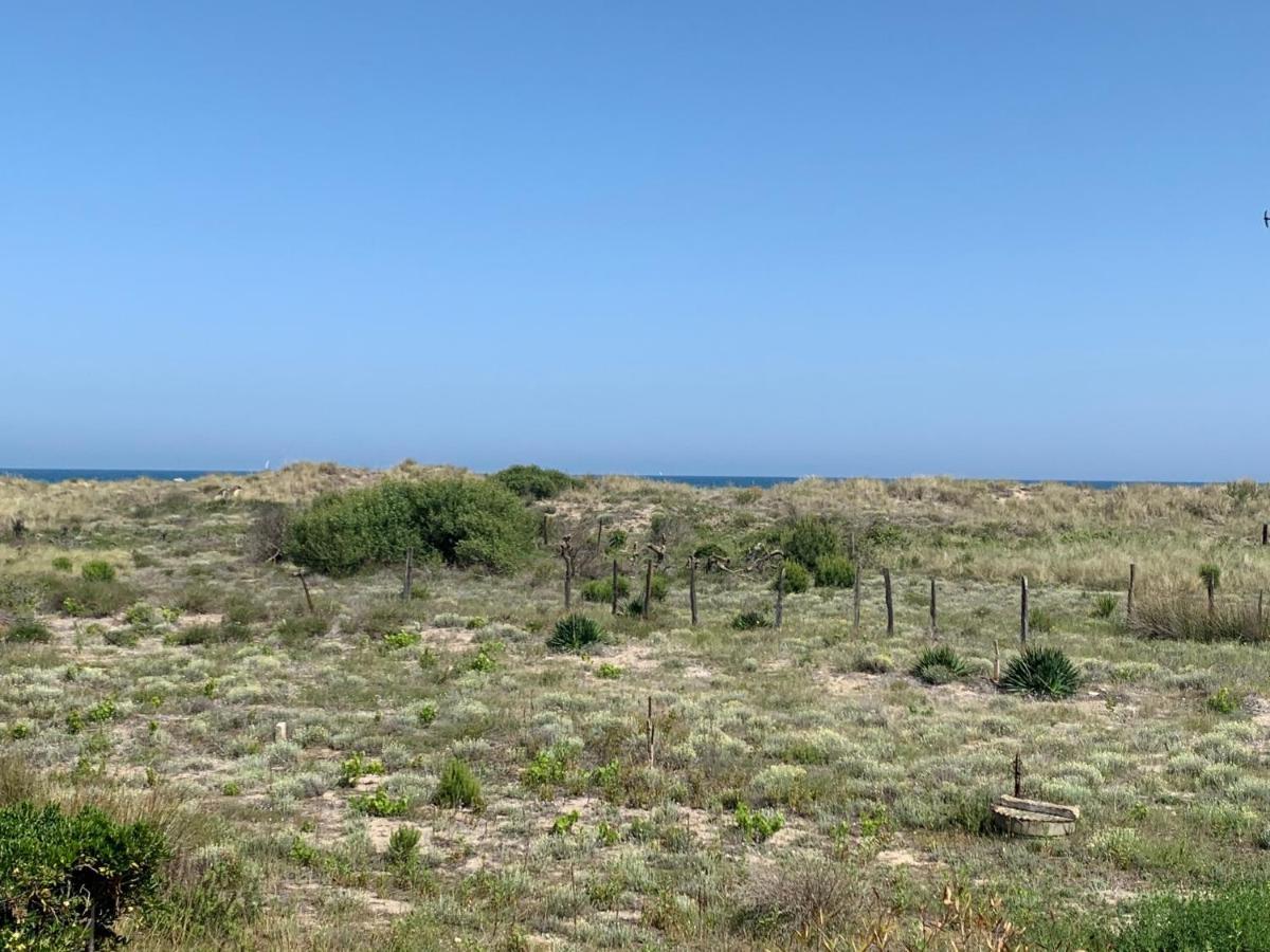 Mon Petit Paradis, Vue Sur Dunes Et Mer, Acces Direct Plage Robinson, Terrasse, Parking Prive, Tres Ressourcant, A Marseillan Plage Ngoại thất bức ảnh